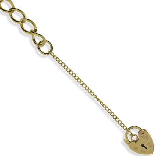 375 9ct Gold 7.6" Ladies Flat 5.3mm Round Curb Charm Bracelet With Screws Pattern Padlock
